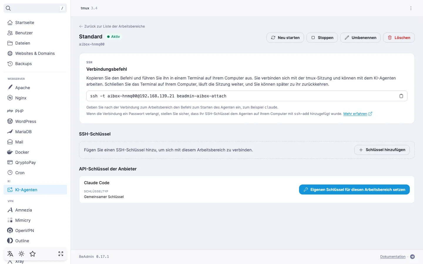 Seite des Arbeitsbereichs — der Abschnitt „API-Schlüssel der Anbieter“ mit der Zeile eines Anbieters, bei dem der gemeinsame Schlüssel gilt, und der Schaltfläche „Eigenen Schlüssel für diesen Arbeitsbereich setzen“