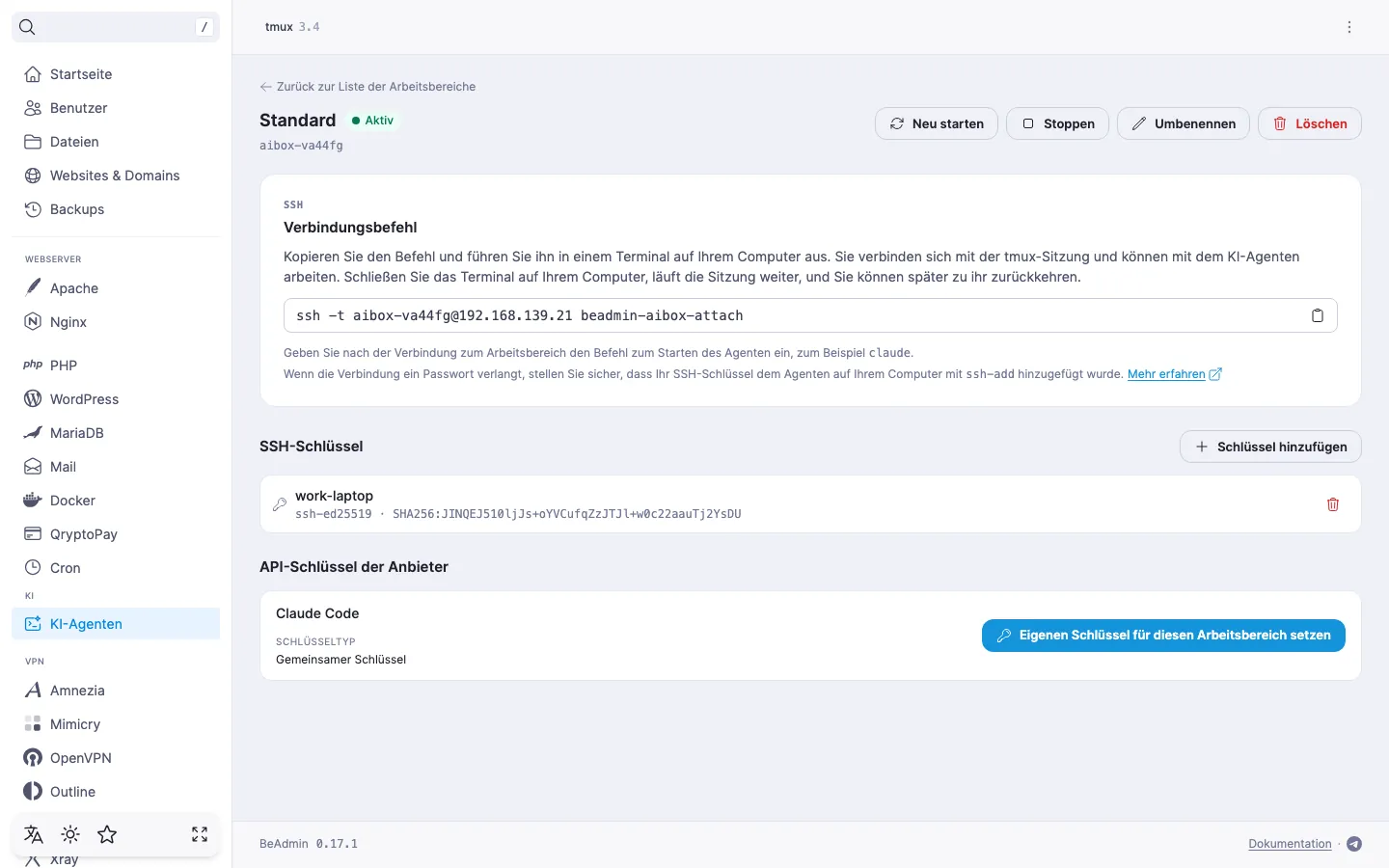 Seite des Arbeitsbereichs „Standard“ — der Verbindungsbefehl mit Kopierschaltfläche und die Liste der SSH-Schlüssel