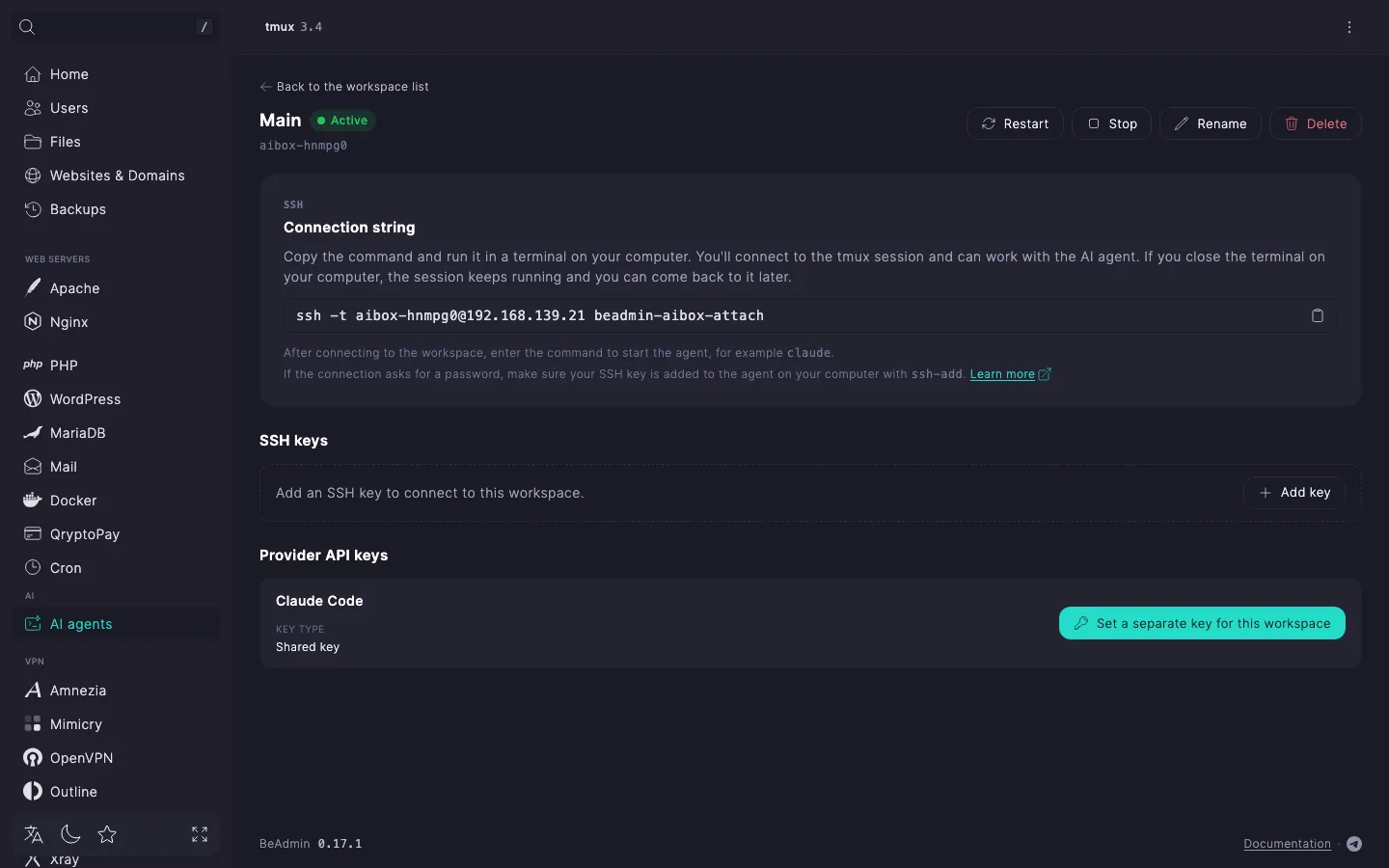 workspace page — the Provider API keys section with a provider row where the shared key applies and the Set a separate key for this workspace button
