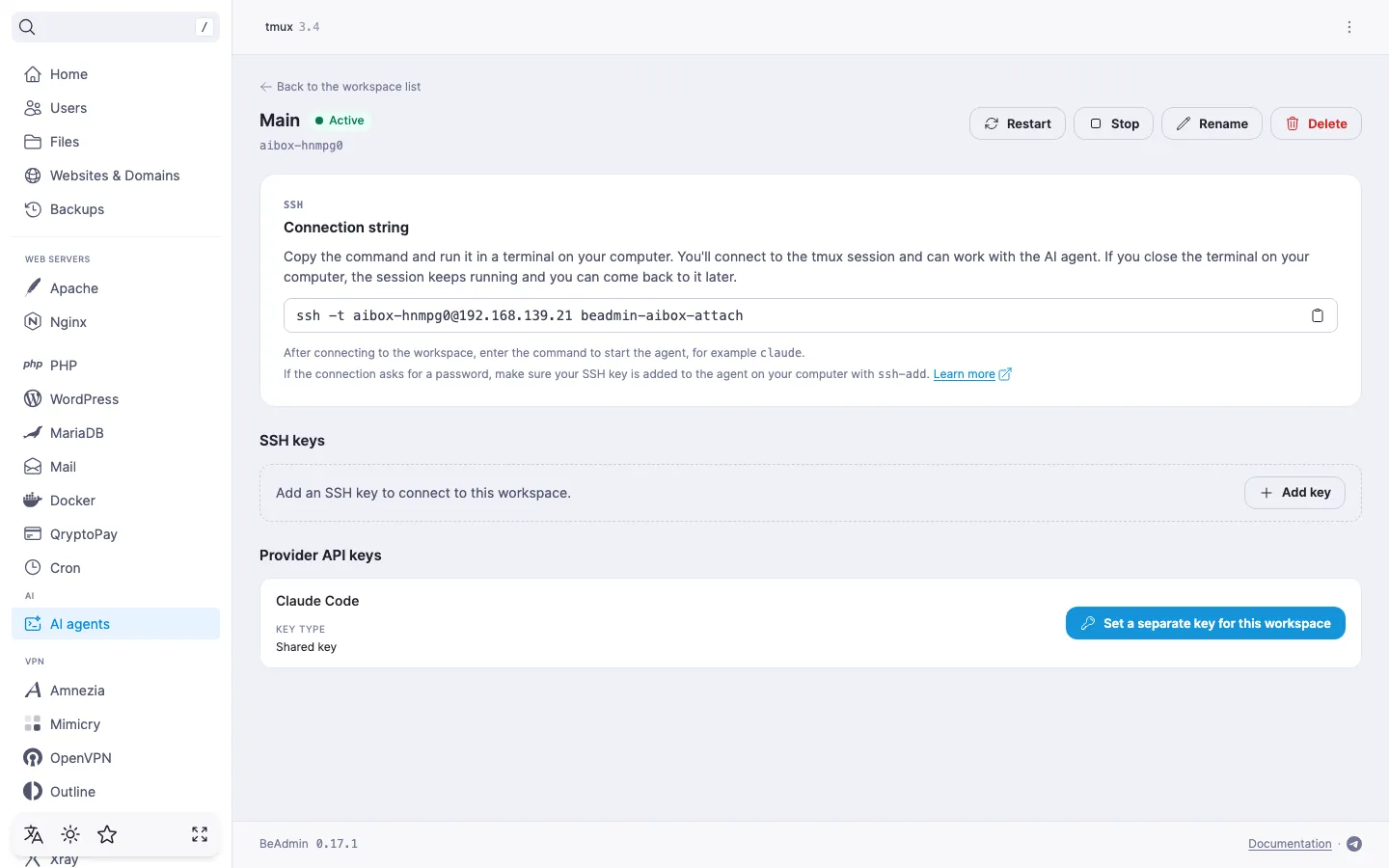 workspace page — the Provider API keys section with a provider row where the shared key applies and the Set a separate key for this workspace button