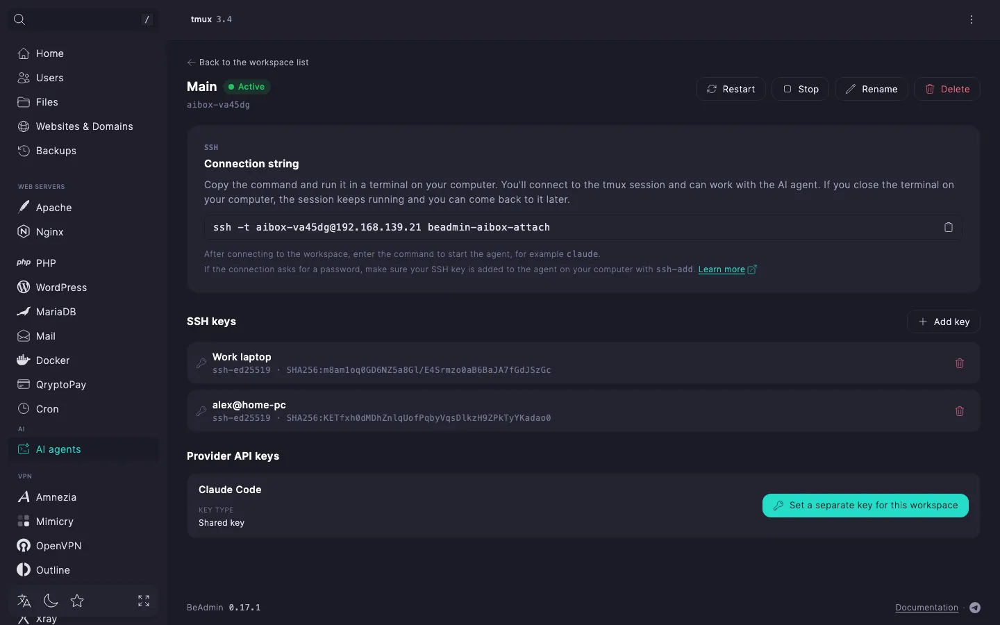 workspace page — the SSH keys section with two keys, each with a comment, key type, and fingerprint, and the Add key button