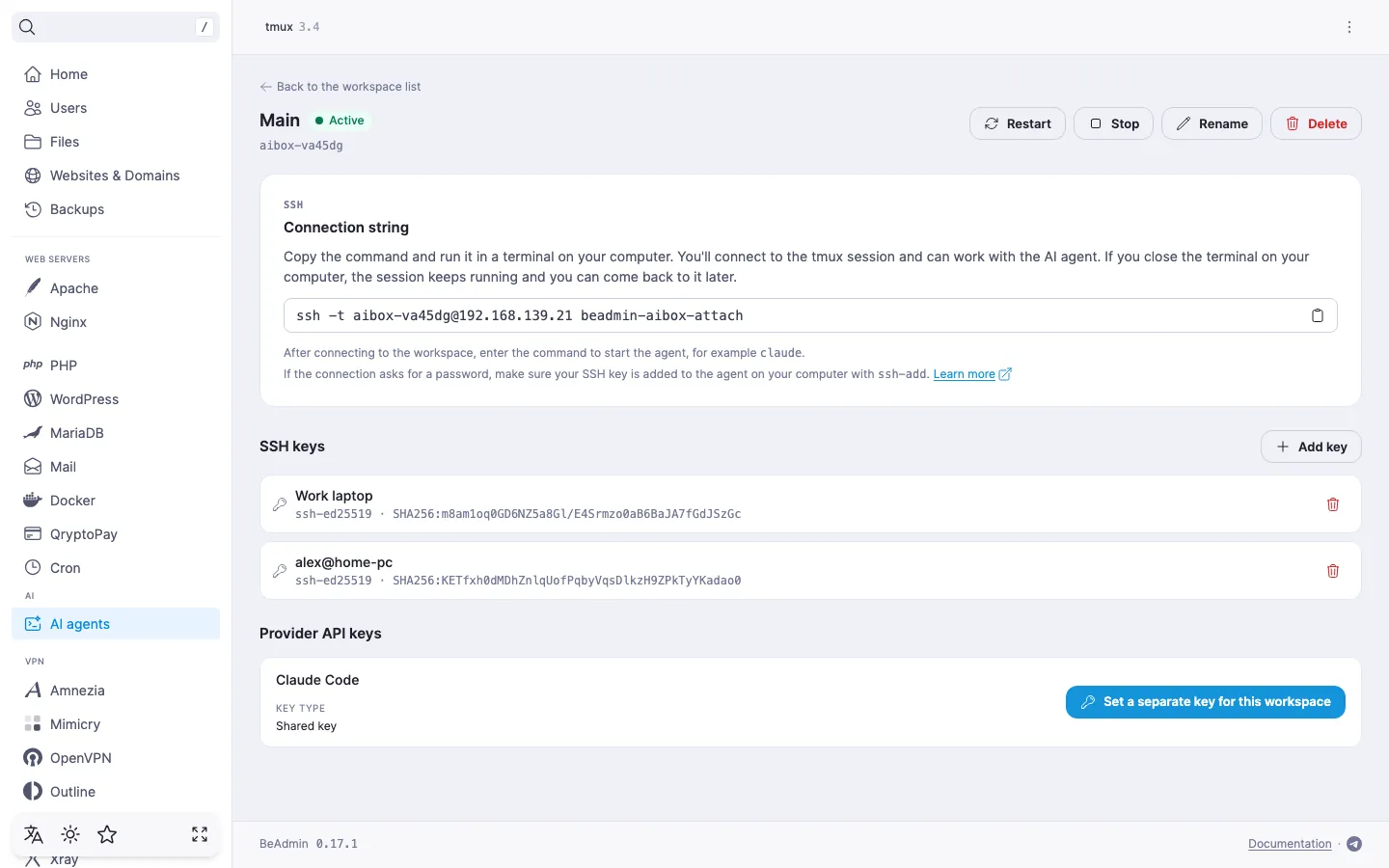 workspace page — the SSH keys section with two keys, each with a comment, key type, and fingerprint, and the Add key button