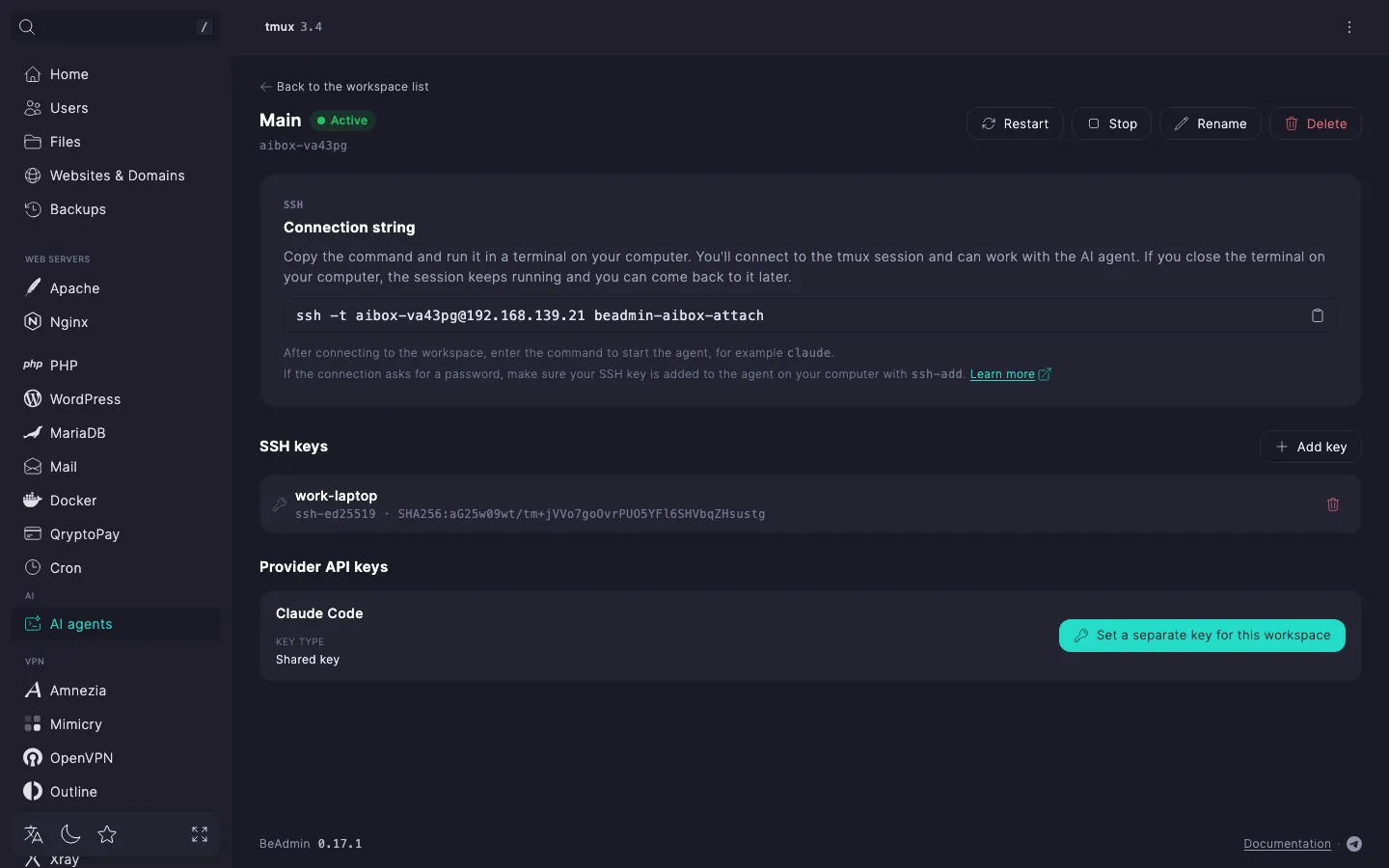 Main workspace page — the connection string with a copy button and the list of SSH keys