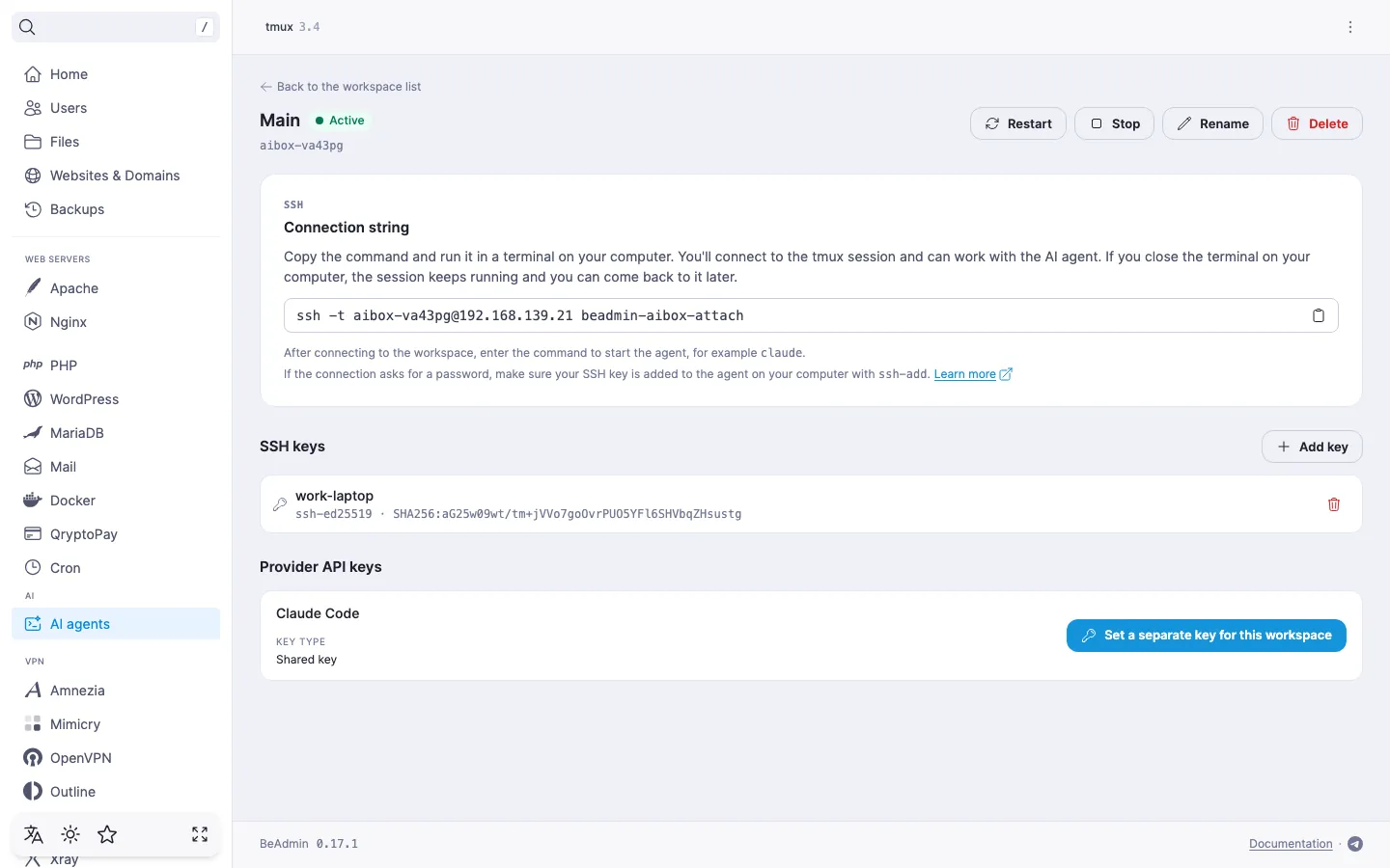 Main workspace page — the connection string with a copy button and the list of SSH keys