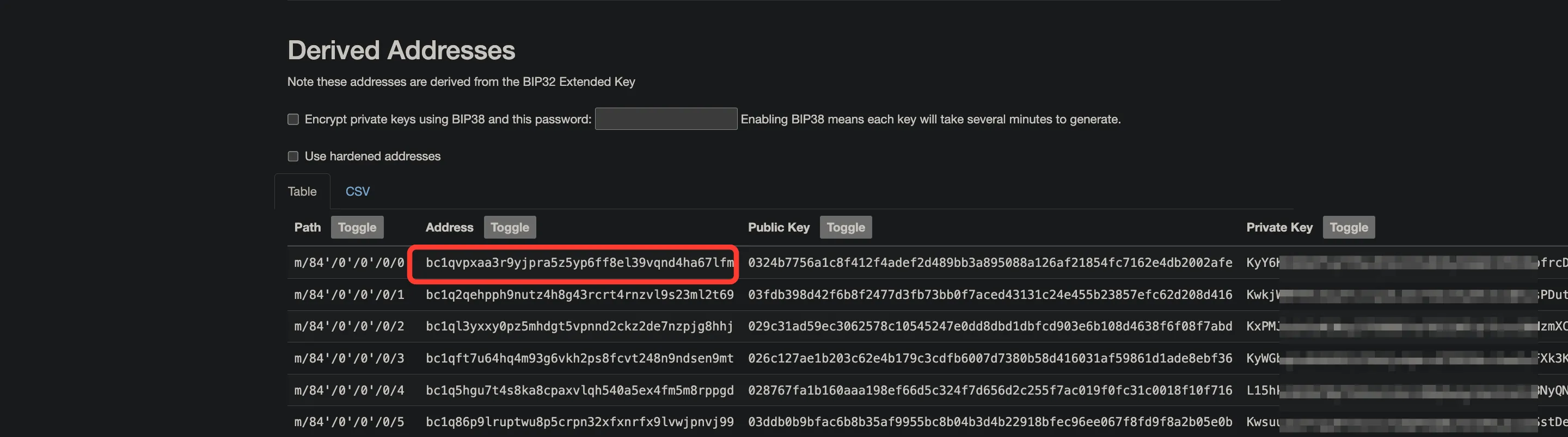 The Derived Addresses table on iancoleman.io/bip39 with the first address highlighted