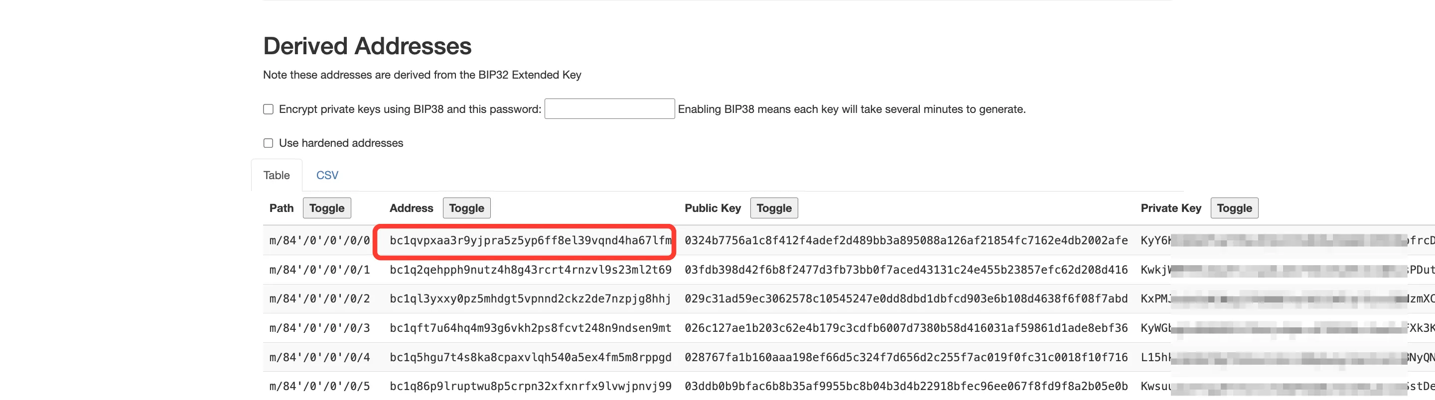 The Derived Addresses table on iancoleman.io/bip39 with the first address highlighted
