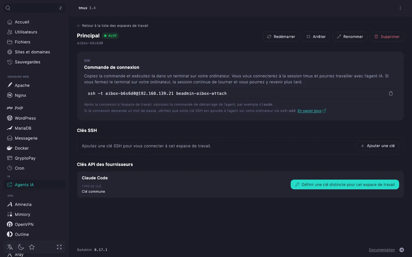 page de l’espace de travail — section « Clés API des fournisseurs » avec une ligne de fournisseur où la clé commune s’applique et le bouton « Définir une clé distincte pour cet espace de travail »