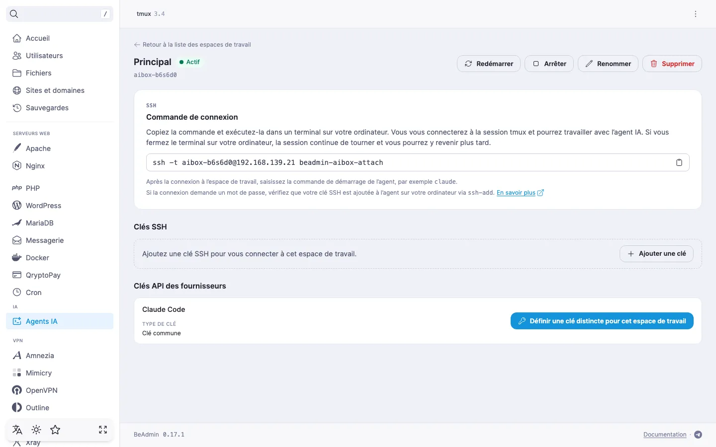 page de l’espace de travail — section « Clés API des fournisseurs » avec une ligne de fournisseur où la clé commune s’applique et le bouton « Définir une clé distincte pour cet espace de travail »