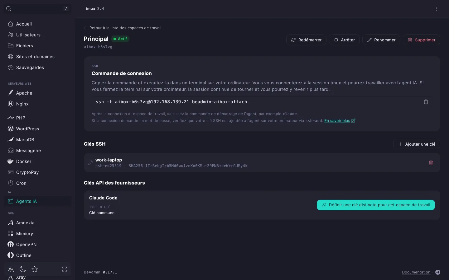 page de l’espace de travail « Principal » — commande de connexion avec un bouton de copie et liste des clés SSH