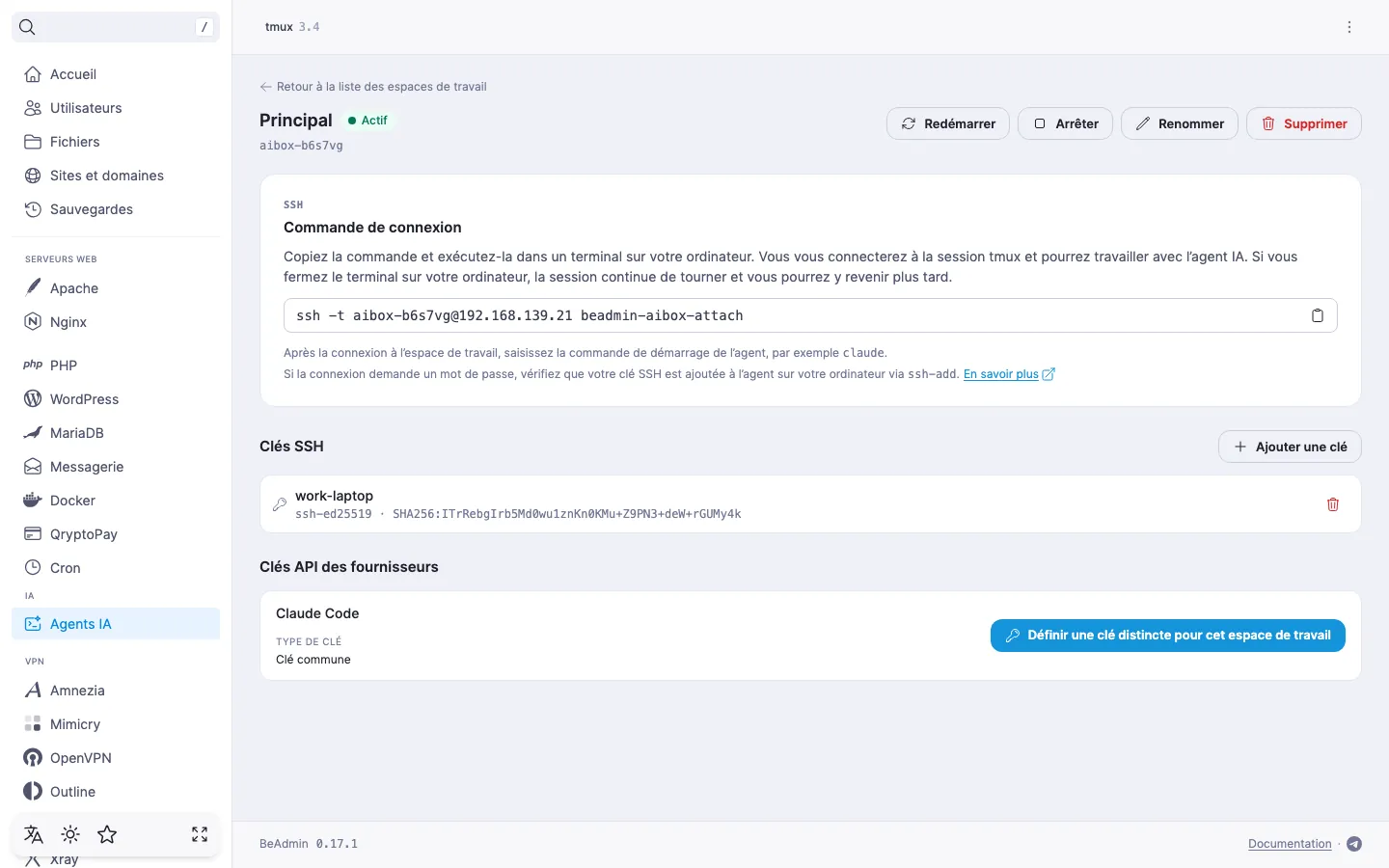 page de l’espace de travail « Principal » — commande de connexion avec un bouton de copie et liste des clés SSH
