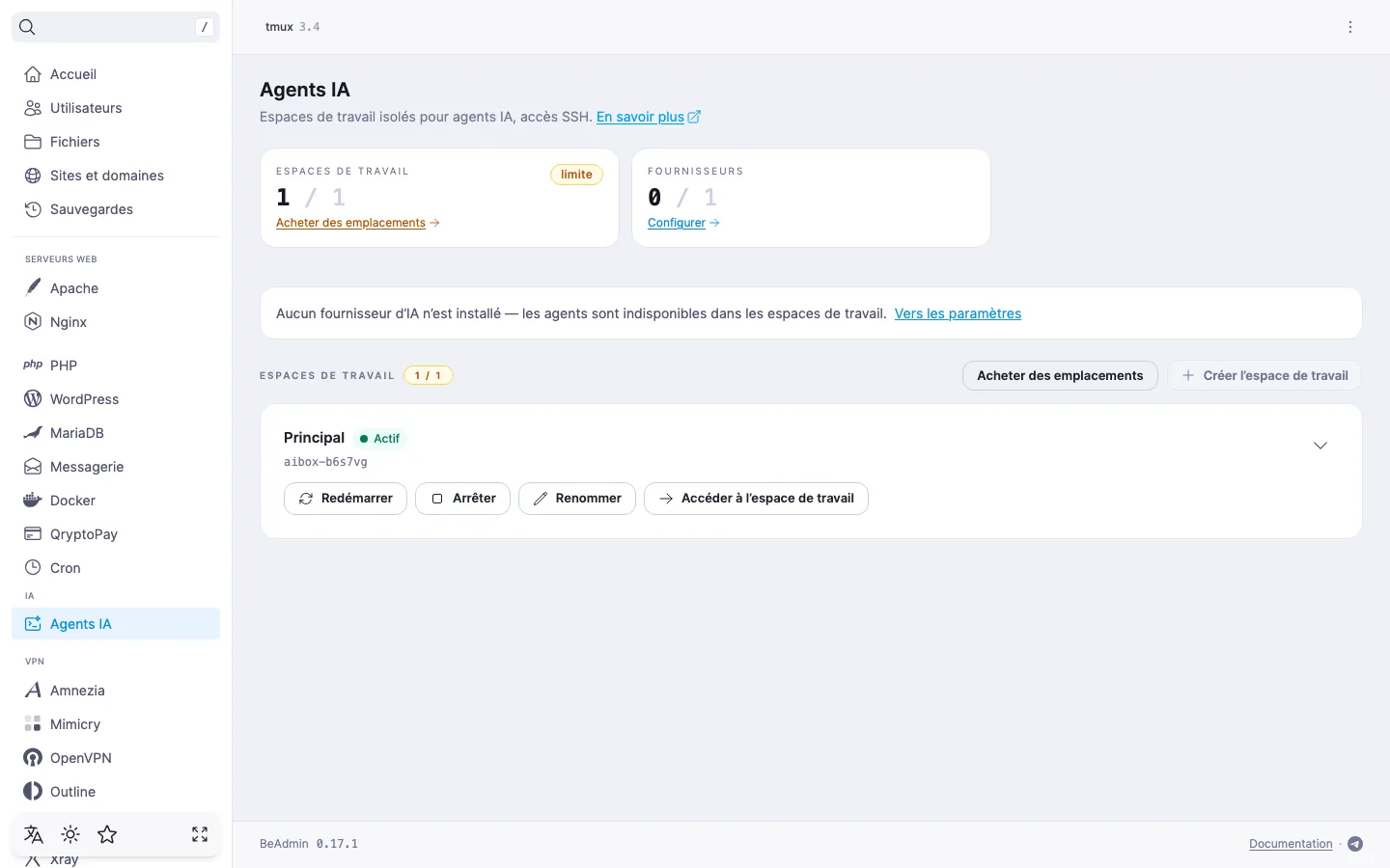 liste des espaces de travail juste après l’installation — l’espace « Principal », les tuiles « Espaces de travail » et « Fournisseurs » et la notification « Aucun fournisseur d’IA n’est installé »