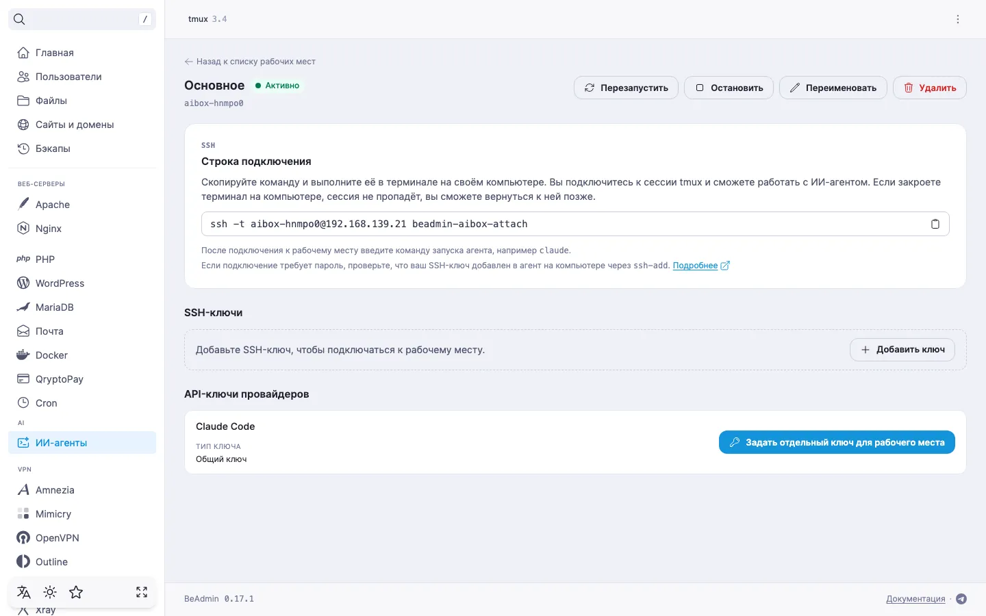 страница рабочего места — раздел «API-ключи провайдеров» со строкой провайдера, где действует общий ключ, и кнопкой «Задать отдельный ключ для рабочего места»